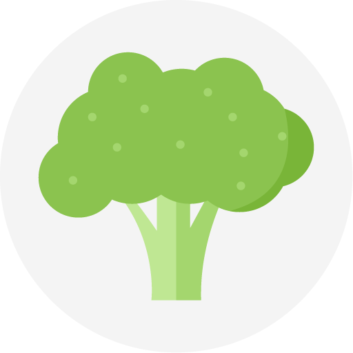 0704.10.00 - Couve-flor e brócolis (var. botrytis L.)